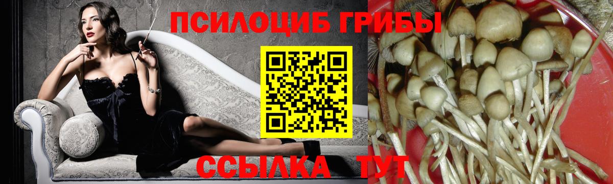 Псилоцибиновые грибы Psilocybine cubensis  где продают наркотики  Красноперекопск  Вход с VPN  Псилоцибиновые грибы Psilocybine cubensis 